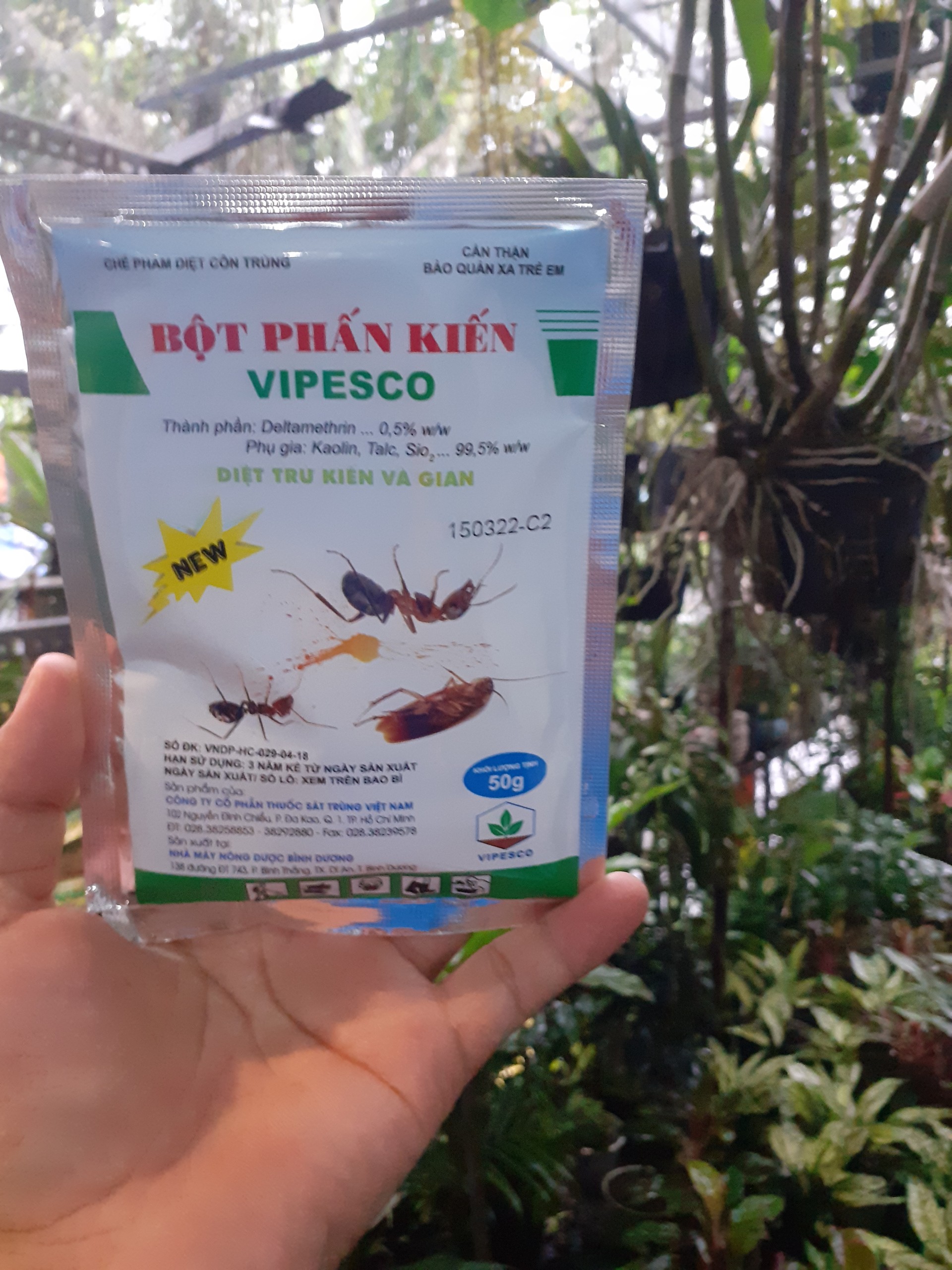 Bột phấn kiến, gián