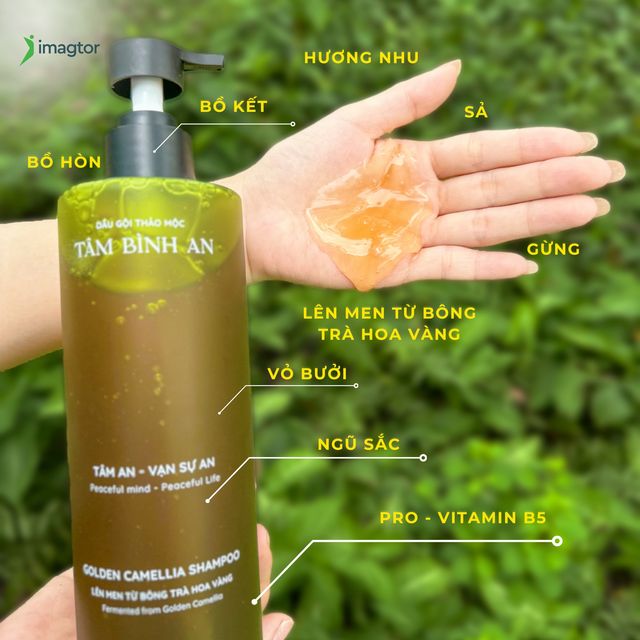 Dầu Gội Tâm Bình An giữ tron tinh túy từ các nguyên liệu thiên, cung cấp dưỡng chất từ dược liệu quý Trà Hoa Vàng - 500ml