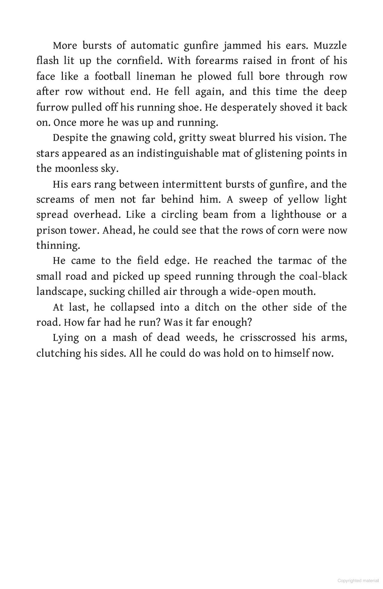 Sách ngoại văn: The Runner