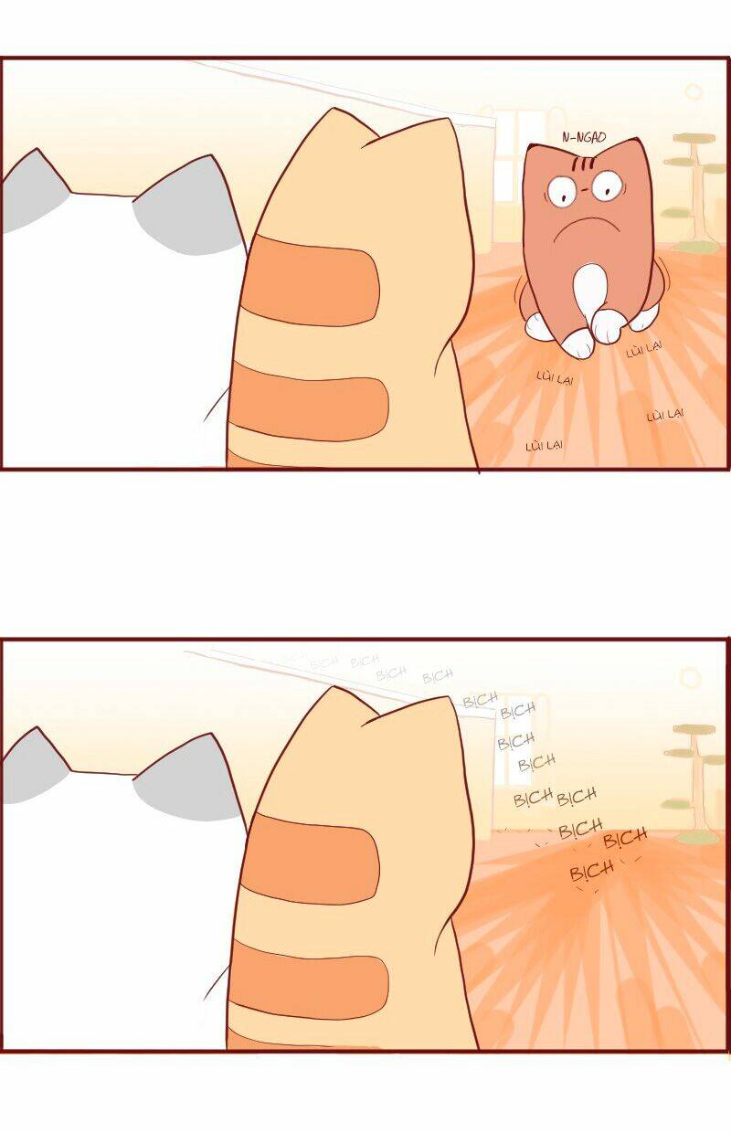 saphie: chú mèo một mắt chapter 5 6