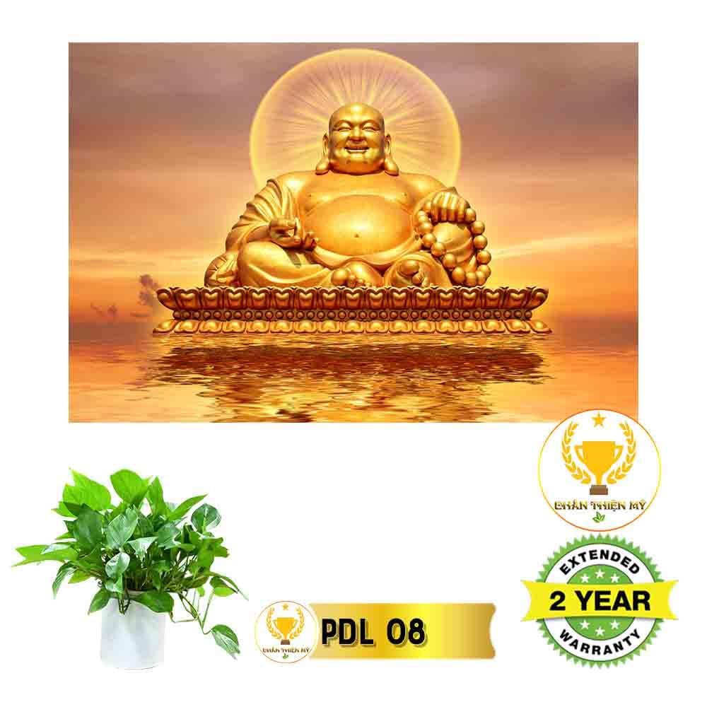 Tranh Phật A Di Đà có khung_DLK01