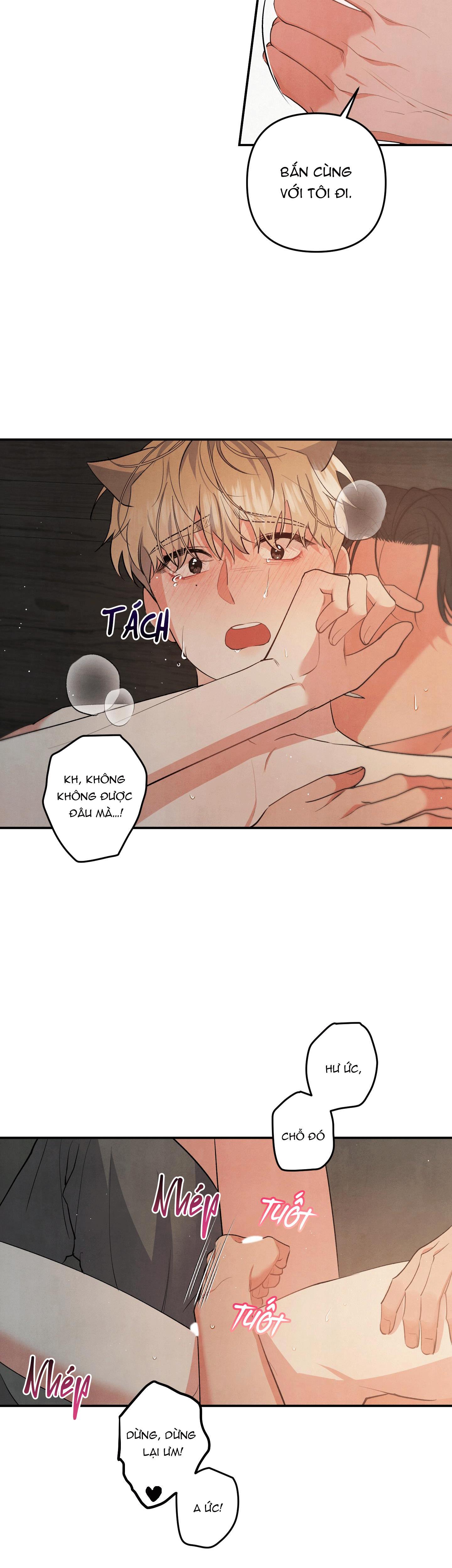 mối quan hệ của thú nhân chapter 63 18