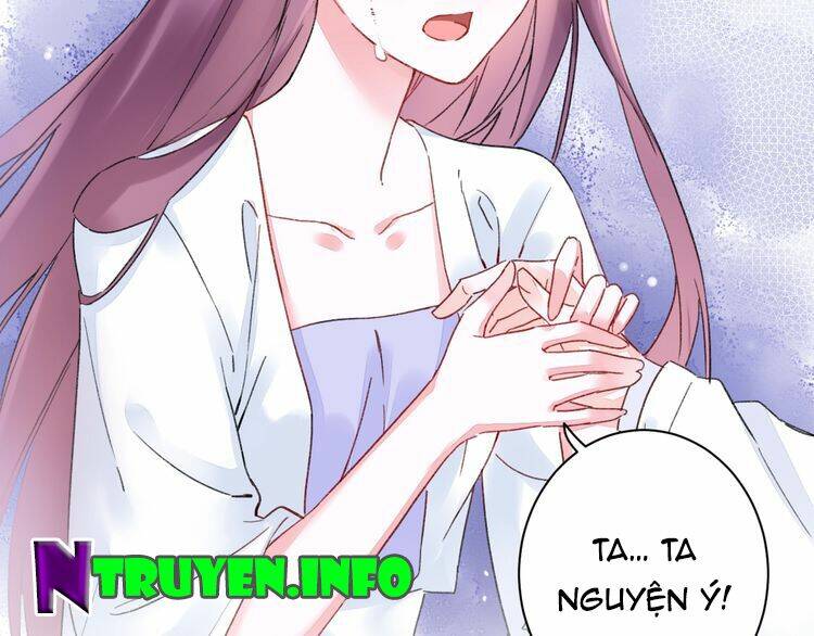 hoa nhan sách chapter 94.1 9