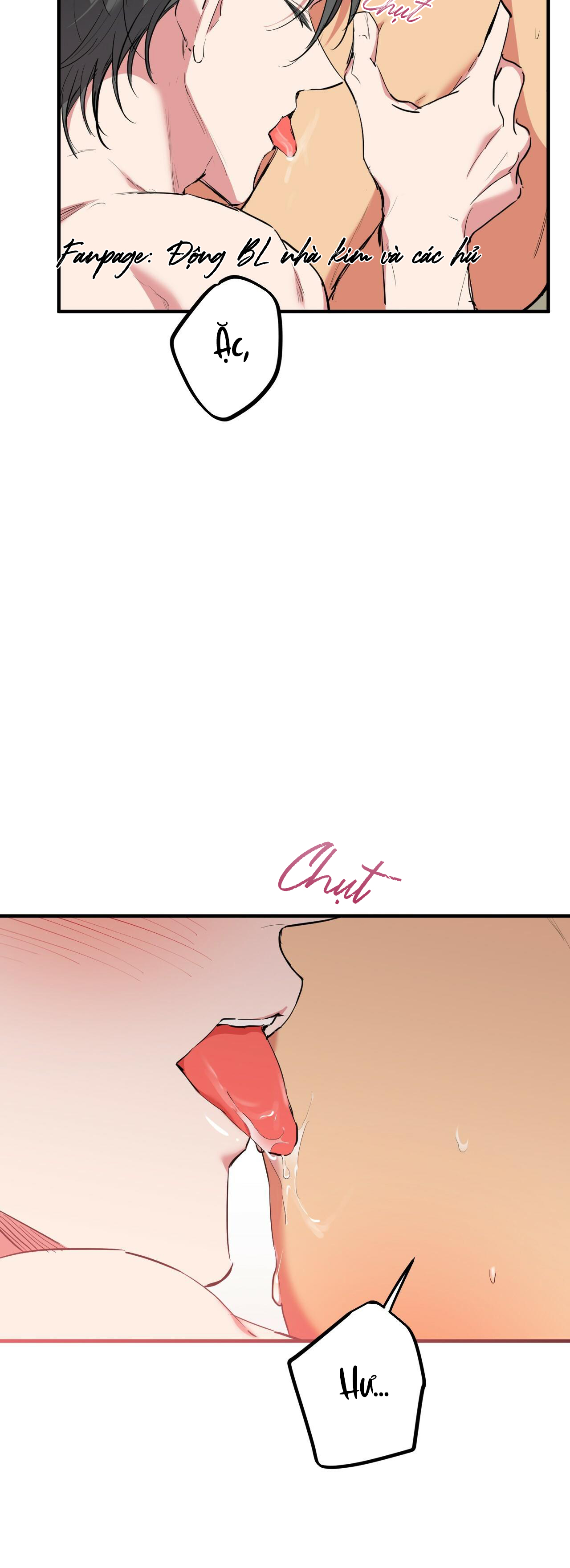 những chú thỏ của hapypy chapter 38 4