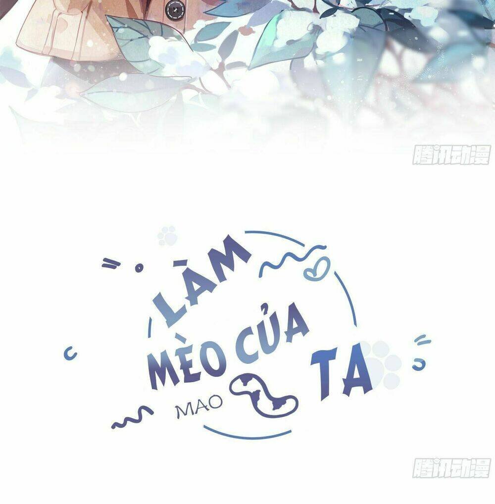 làm mèo của ta chapter 1 3