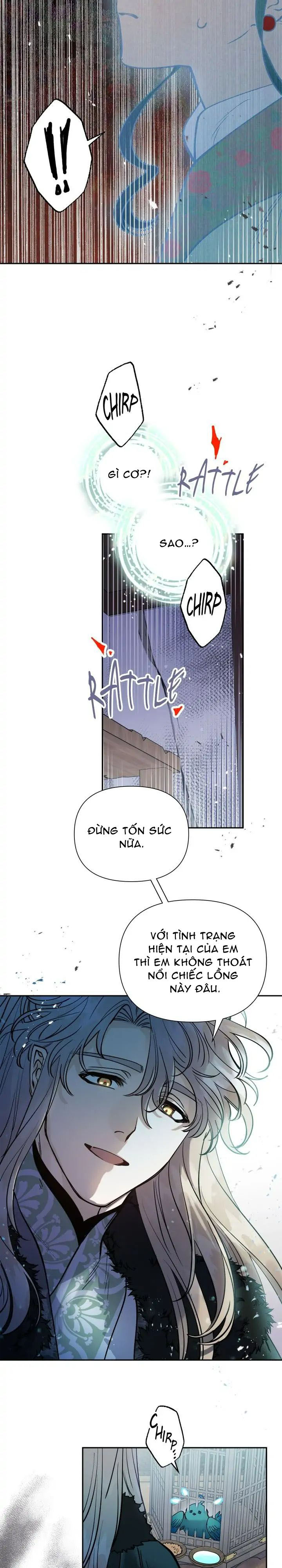 cô dâu thiên đàng chapter 81.1 9