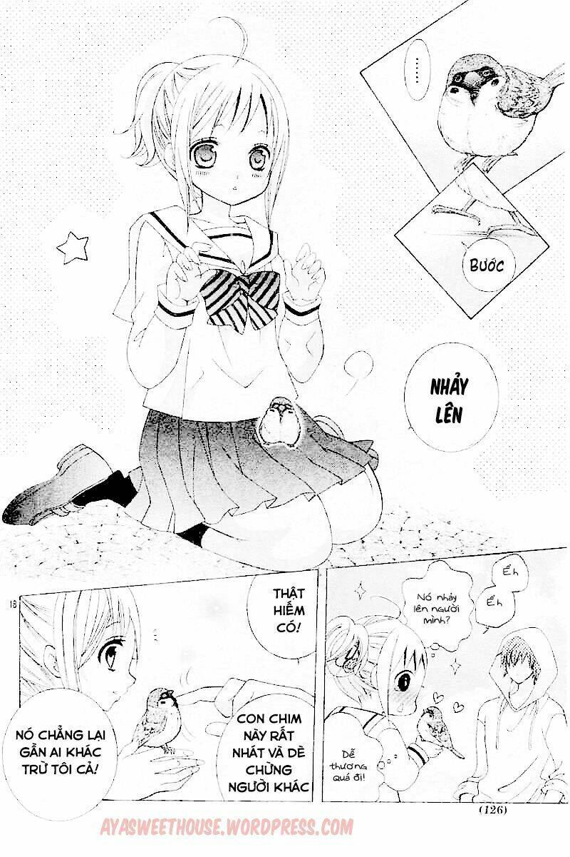 cuộc gặp gỡ diệu kỳ chapter 28 19