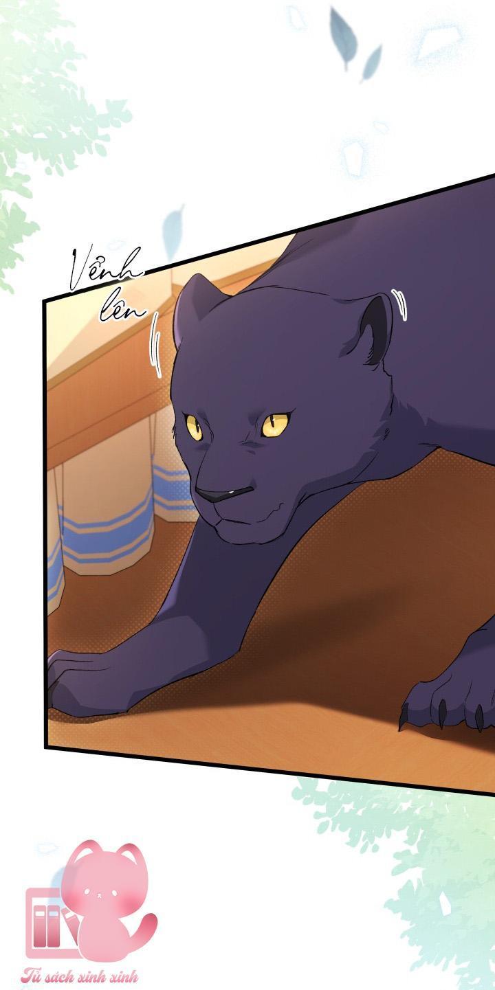 quan hệ cộng sinh giữa báo đen và thỏ trắng chapter 80 4