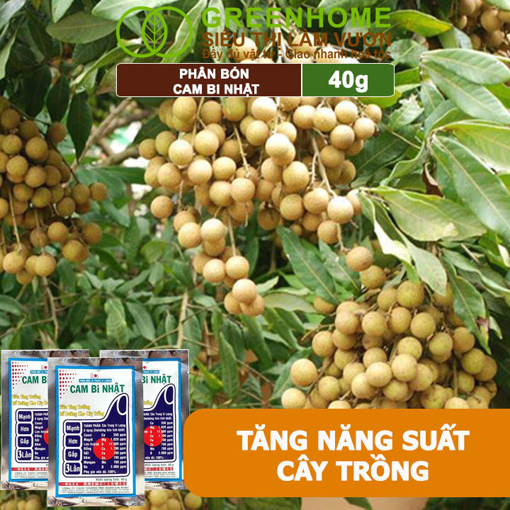 Phân Bón Lá Trung Vi Lượng CamBi Nhật, GreenHome,Gói 40Gr, Siêu Tăng Trưởng Cho Cây Trồng
