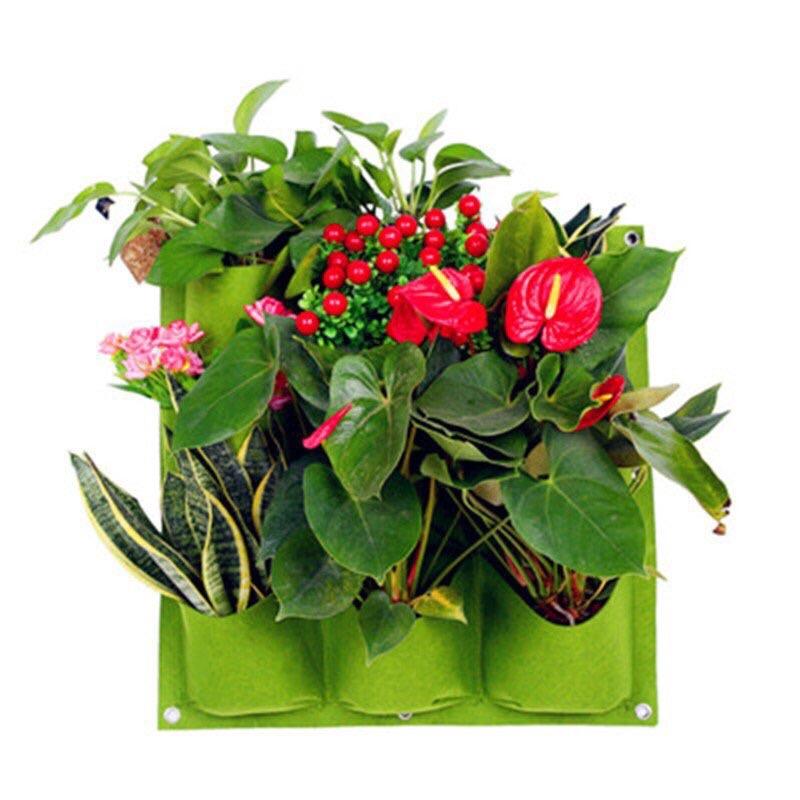 Túi trồng cây 9 hốc treo tường
