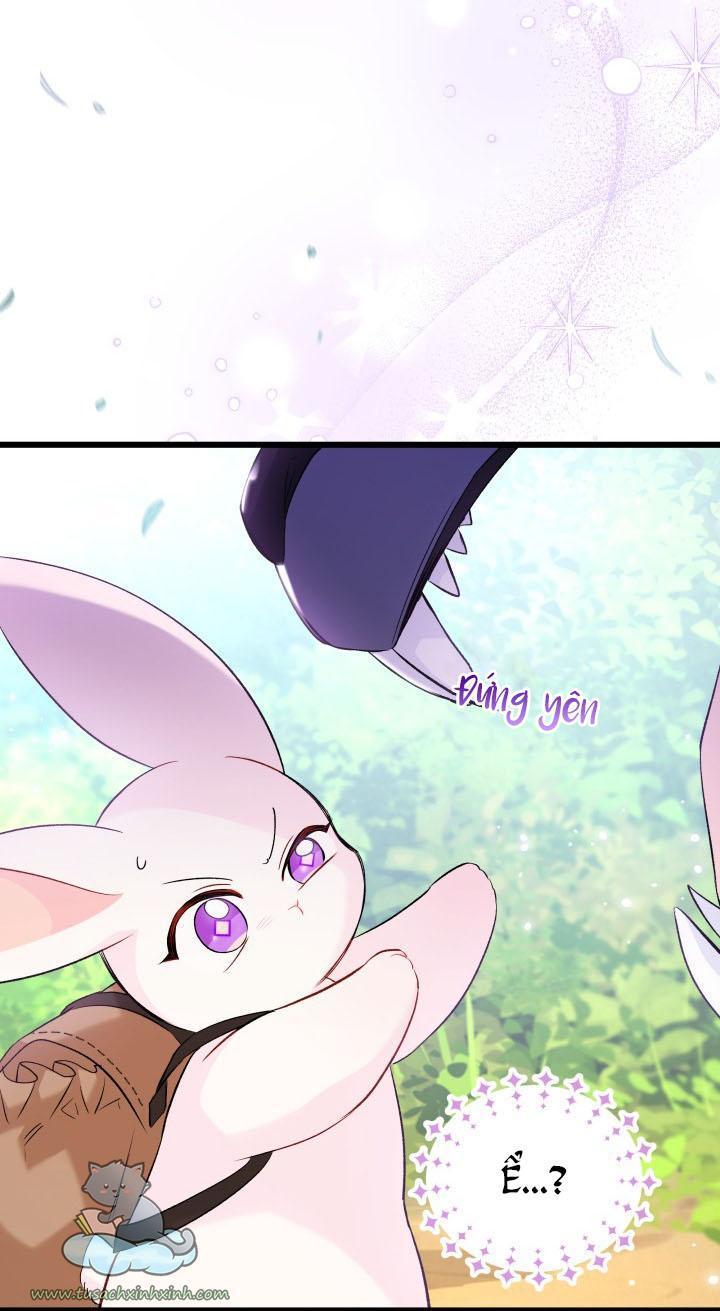 quan hệ cộng sinh giữa báo đen và thỏ trắng chapter 61 68