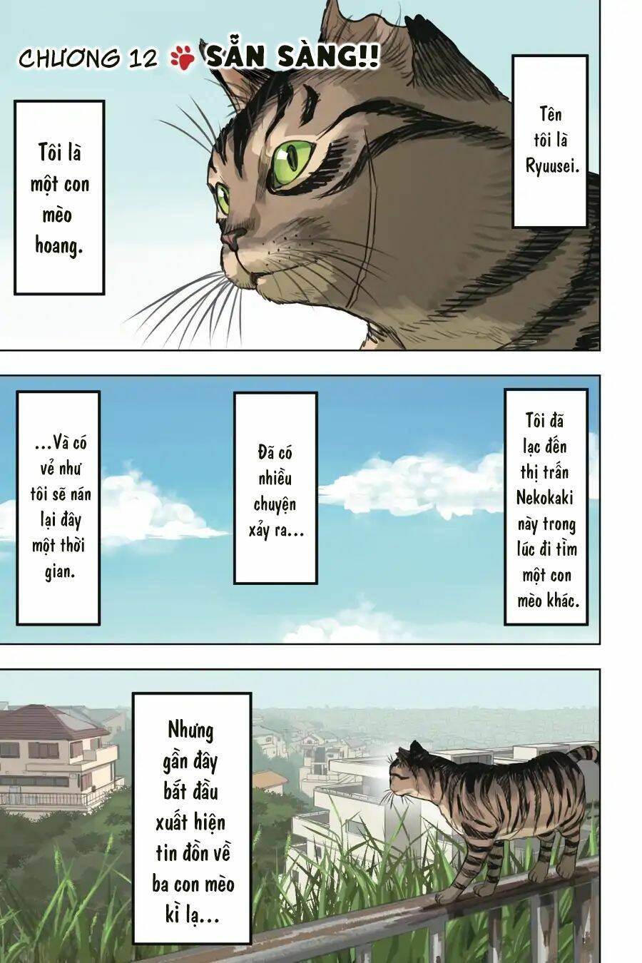 nyankees chapter 12 5