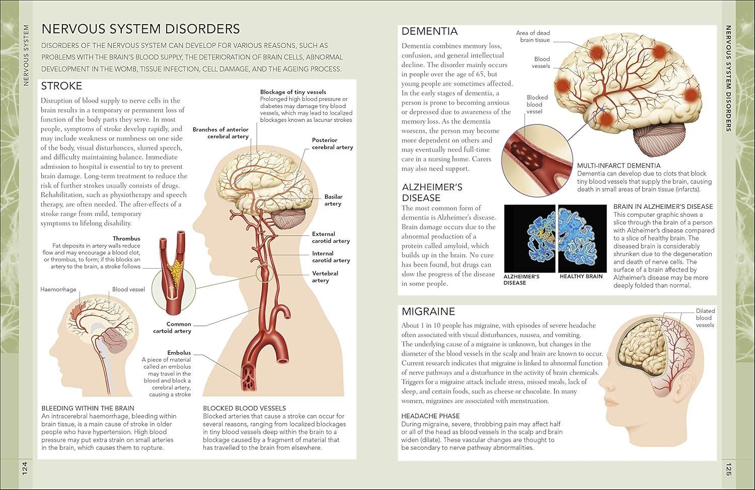 Sách ngoại văn: The Concise Human Body Book