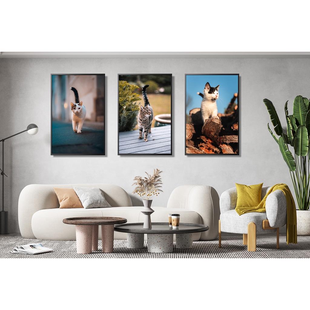 Bộ 03 tranh canvas treo tường chủ đề MIU CƯNG + khung composite và đinh treo – decor phòng xinh xắn và ấn tượng – BST01