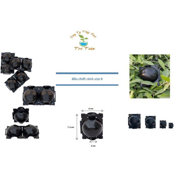 Bầu nhựa chiết cành, ươm cây thông minh kích thước 6cm