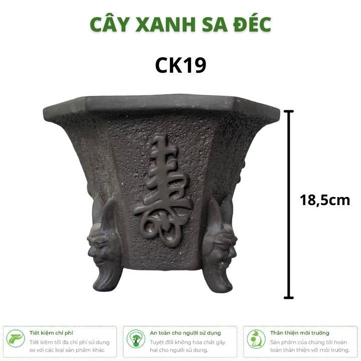 Chậu lục giác song lão đầu bạc răng long, xua đuổi tà khí cho gia chủ CK19