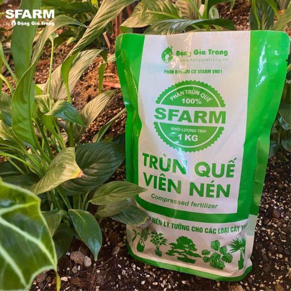 Phân trùn quế viên nén Sfarm Chuyên Dùng Cho Lan và các Loại Cây Trồng 1kg