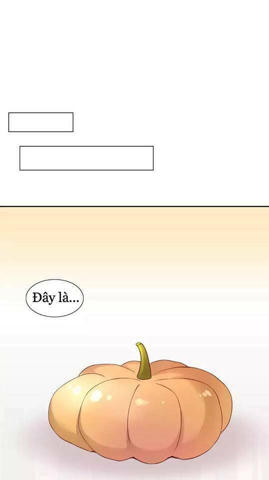 dưới móng vuốt mèo chapter 18 19