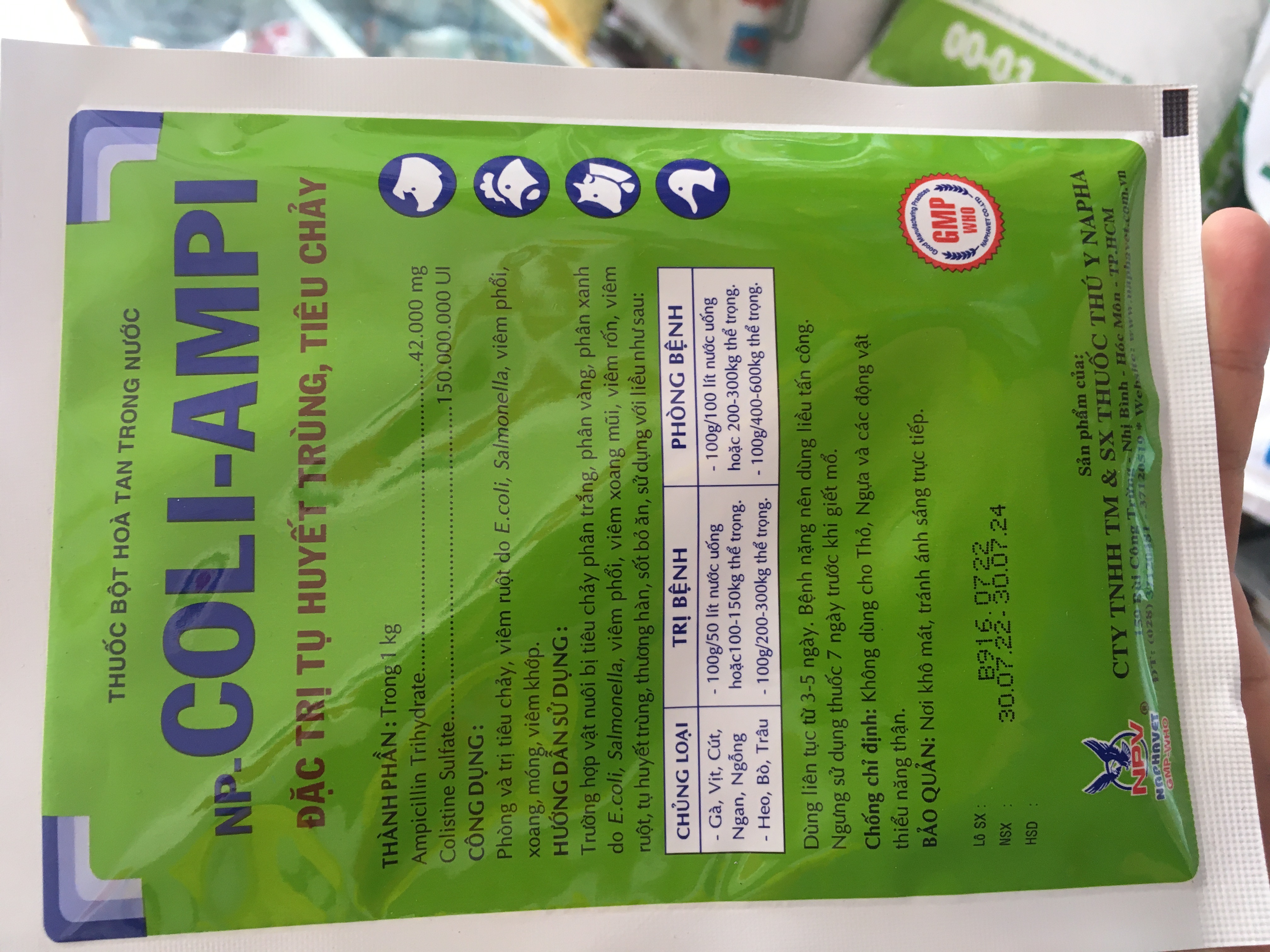 Np Coli ampi ngăn ngừa tụ huyết trùng , tiêu chảy ,ecoli , viêm phổi, xoang , móng viêm khớp cho trâu bò heo gà vịt