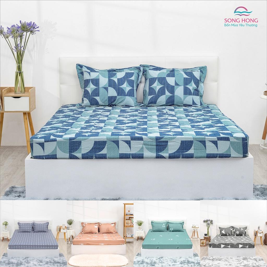 Bộ Ga chun chần Sông Hồng basic - Chất cotton
