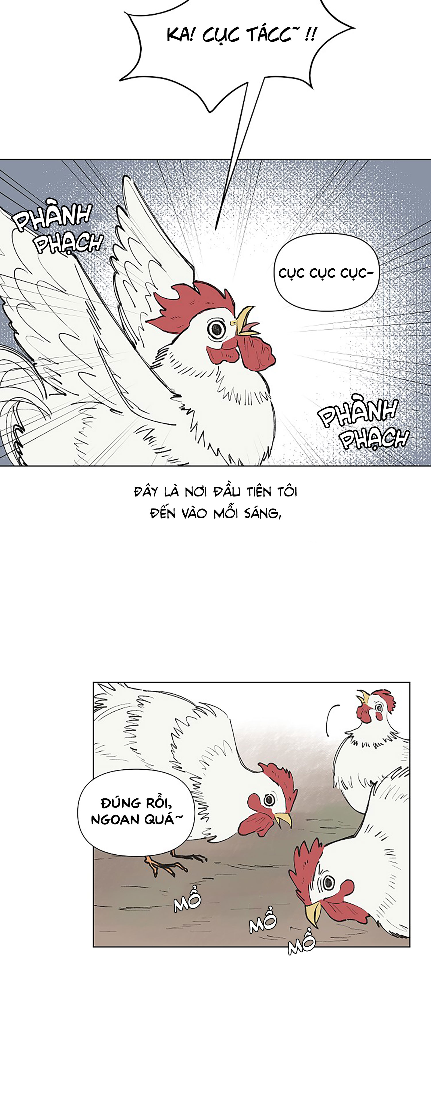 xin hãy chữa cả tình yêu của em chapter 1 3