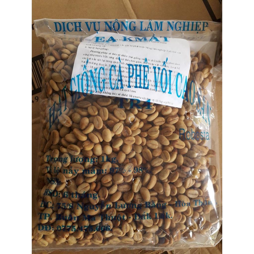 1 KG Hạt giống Cà Phê Vối cao sản TR4