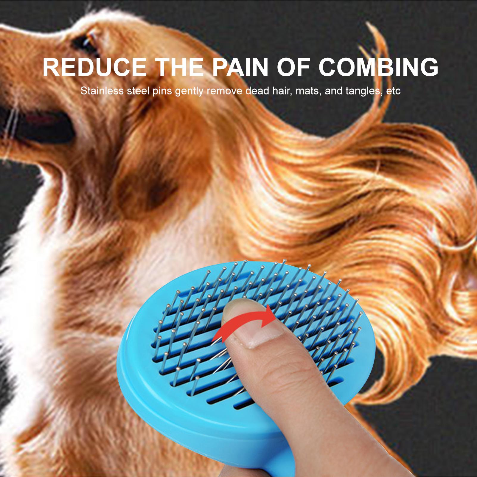 Bàn chải lông thú cưng bằng thép không gỉ cho