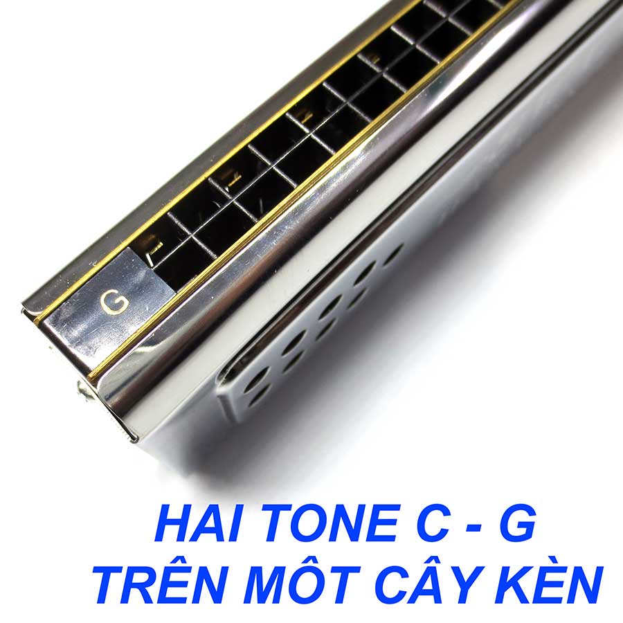 Kèn Harmonica Tremolo Swan Double Side 2 in 1 Hai Tone Kèn Trong Một Cây Key C G