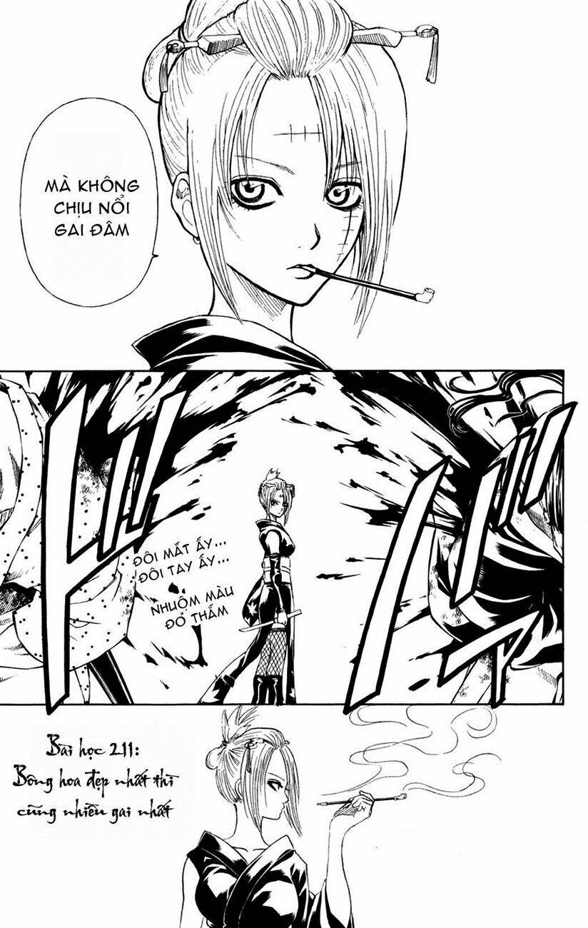 gintama - linh hồn bạc chapter 211 7