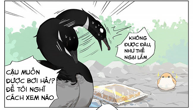 sẻ chiếu mới và nhạn phong sương chapter 8 11