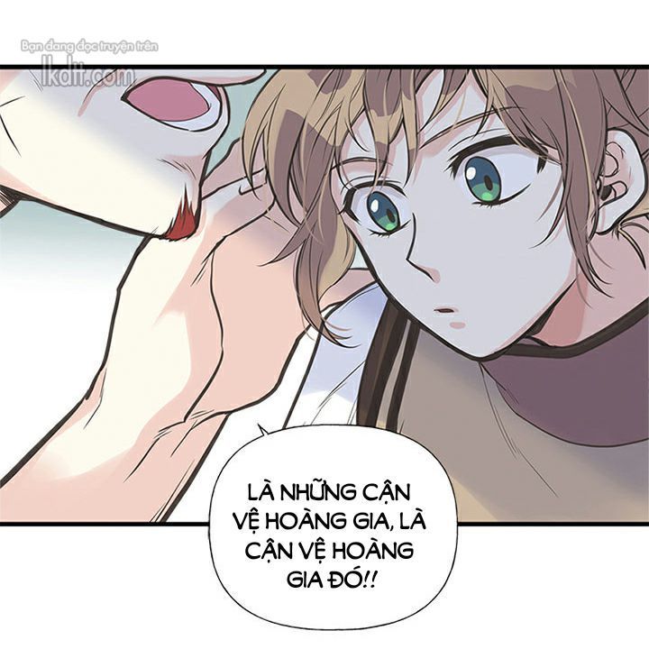 chị tôi đã nhặt về một nam chính quyến rũ chapter 14 9