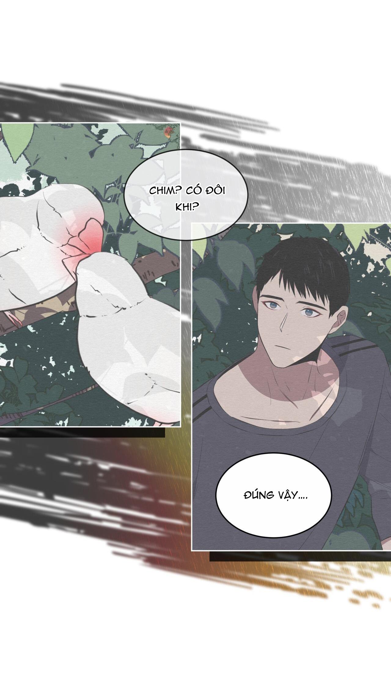 rừng biển [bl] chapter 25 28