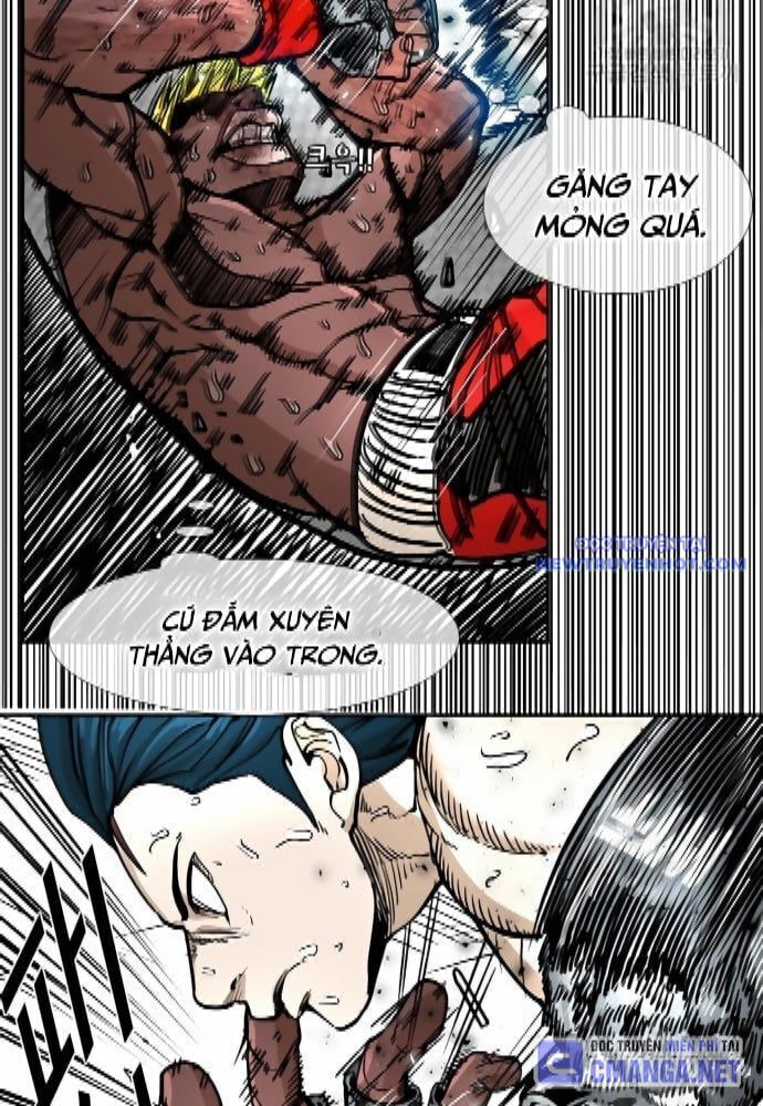 shark - cá mập chapter 261 32