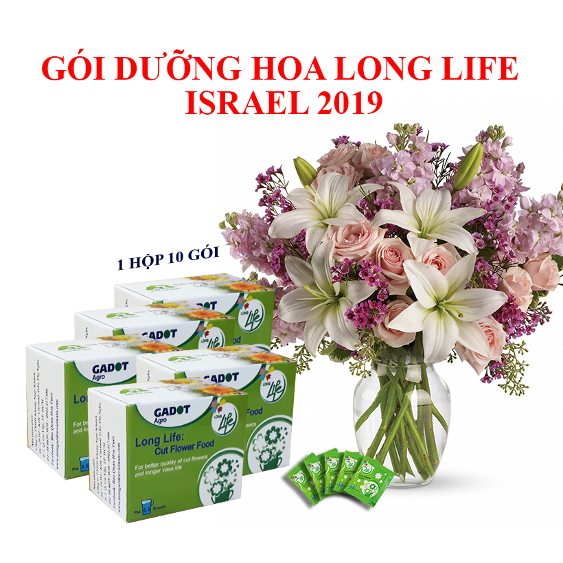 Bộ 5 hộp Chế phẩm xử lý hoa Longlife của Israel - Bảo quản hoa cắm bình tươi lâu và 14 ngày không thối nước