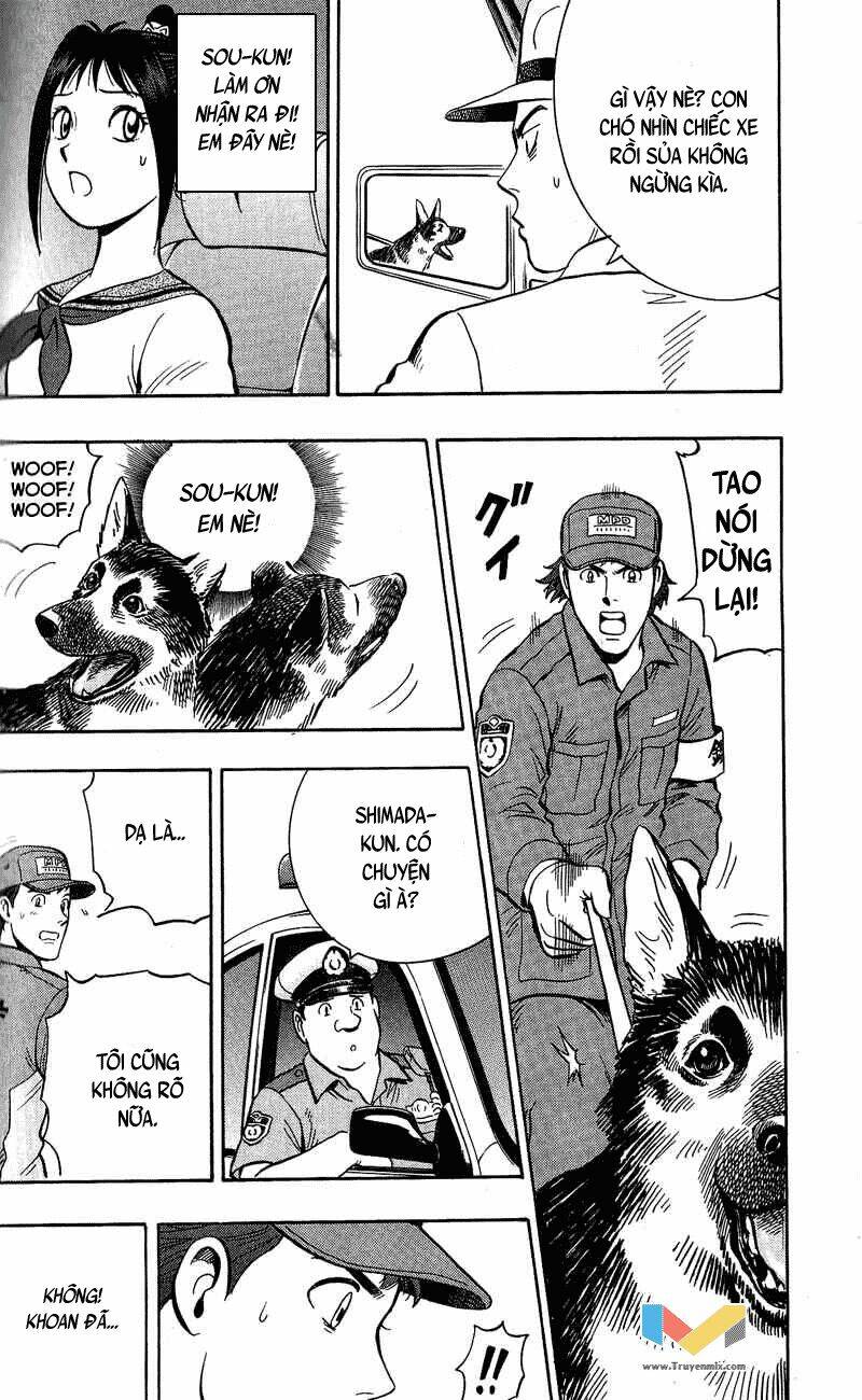 animal sense chapter 8 29