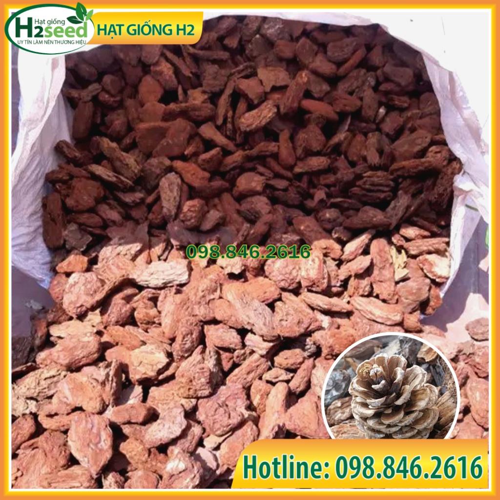 Gói 1kg Vỏ thông mài cạnh đều đẹp nhiều kích cỡ dùng trồng hoa lan - Hạt giống H2 Seeds
