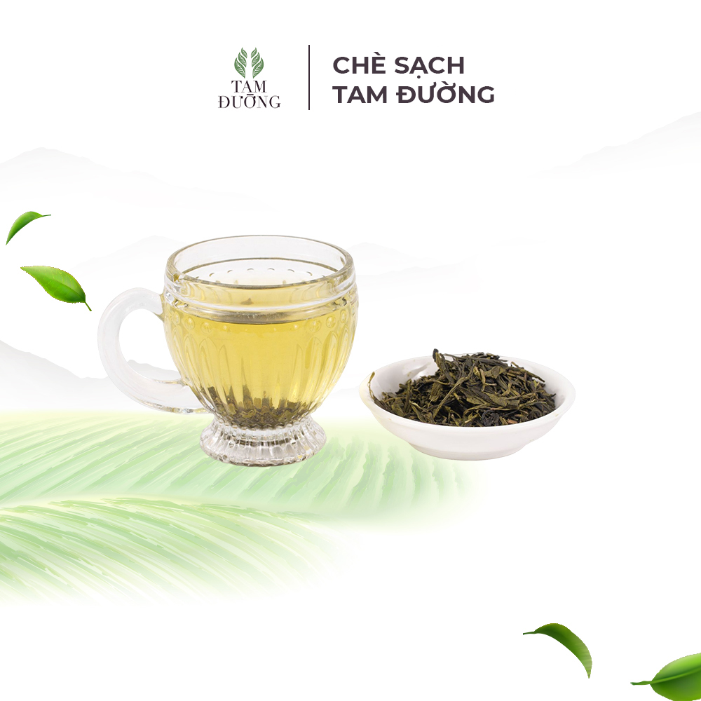 Trà Sạch Sencha Chính Hiệu Tam Đường Hương Lúa Non, Vị Chát Đậm Tươi Mát - Túi Hút Chân Không
