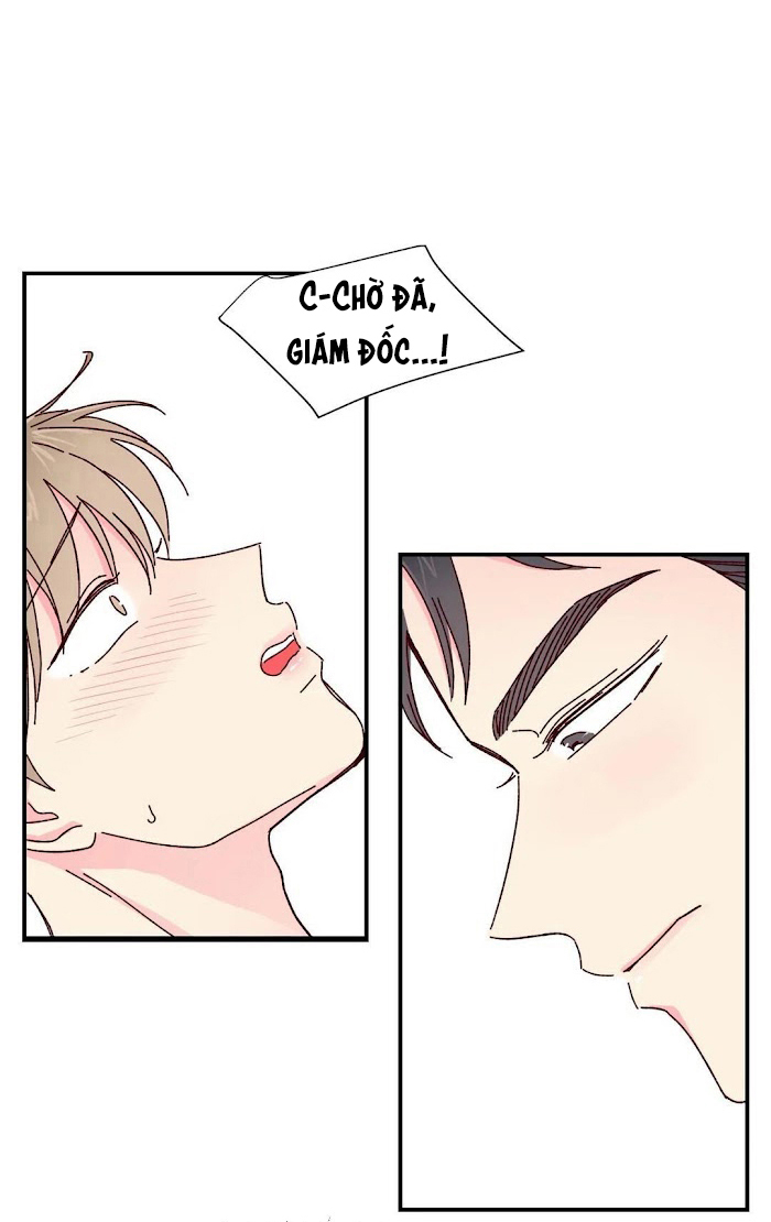 món tráng miệng của sếp tổng chapter 14 8