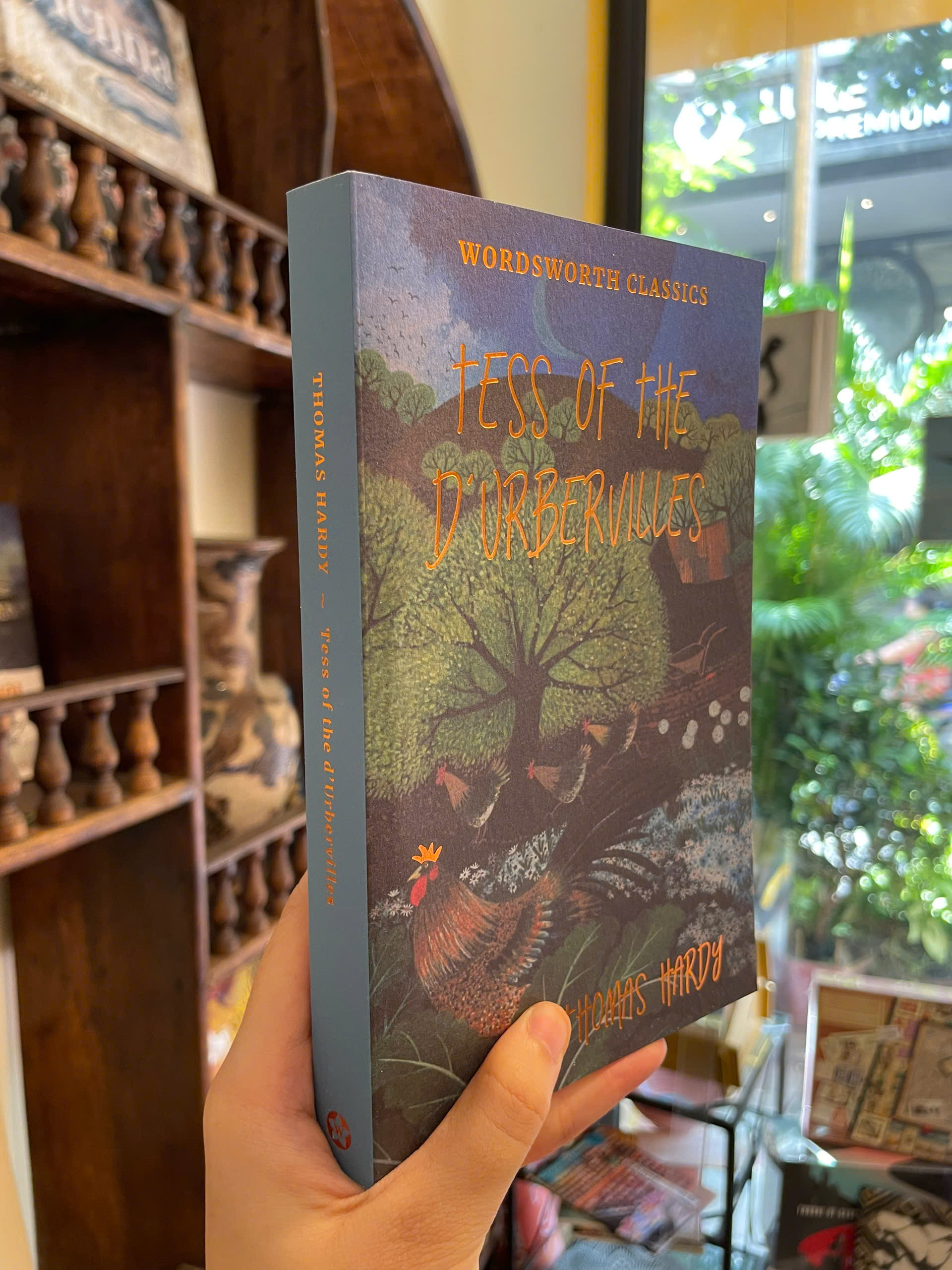 Sách - Tess of the d'Urbervilles by Thomas Hardy - Classics/Fiction/Romance book in English