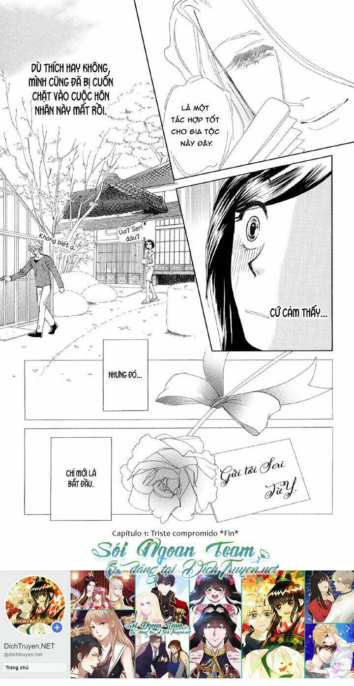 đóa hồng dành tặng seri chapter 1 42