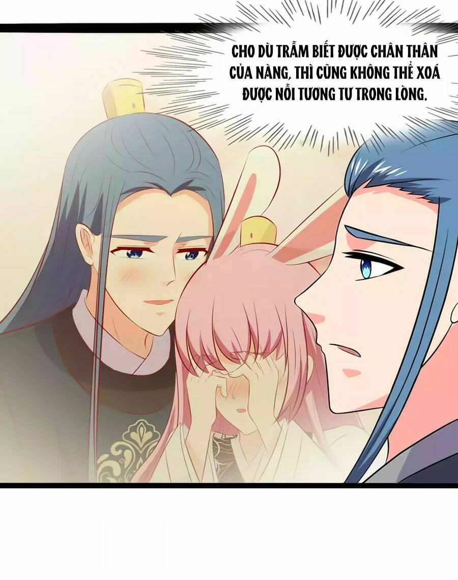 thỏ yêu tiểu vương phi chapter 81 6