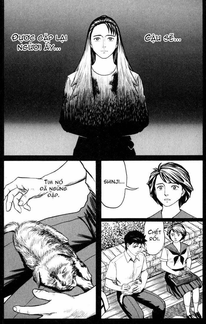 kiseijuu - ký sinh vật chapter 48 34