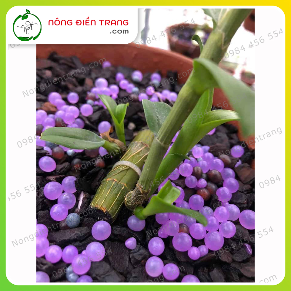 Phân bón thông minh tan chậm RYNAN 200 - Hộp 150g - Chuyên dùng cho hoa lan kích mọc mầm, đâm chồi, ra lá giai đoạn cây con, cây trưởng thành VTNN Nông Điền Trang