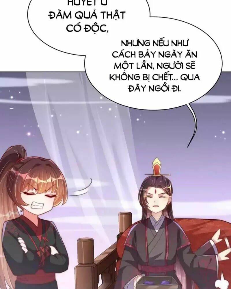 công chúa tại thượng: quốc sư mời xuống kiệu chapter 33 84