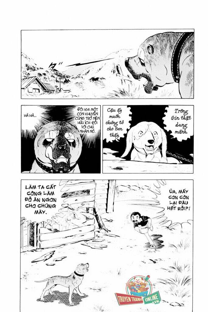 chú chó có nghĩa - ginga nagareboshi gin chapter 30.1 9