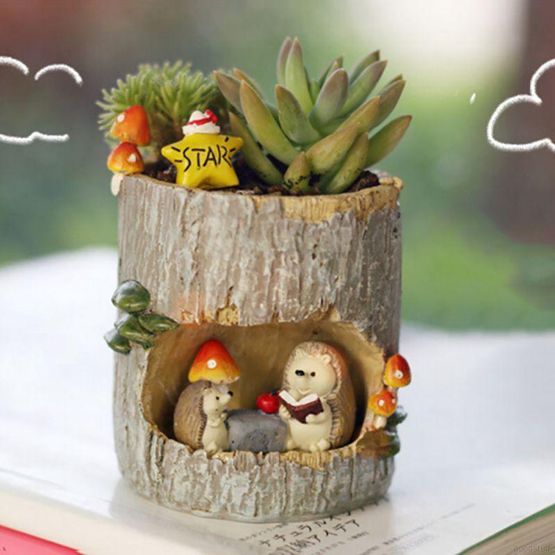 Mô hình chậu cây sương rồng sáng tạo