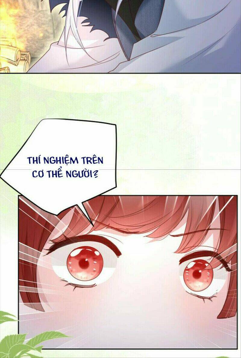 hắc hóa nam chính trực tuyến nuôi thỏ chapter 34 13