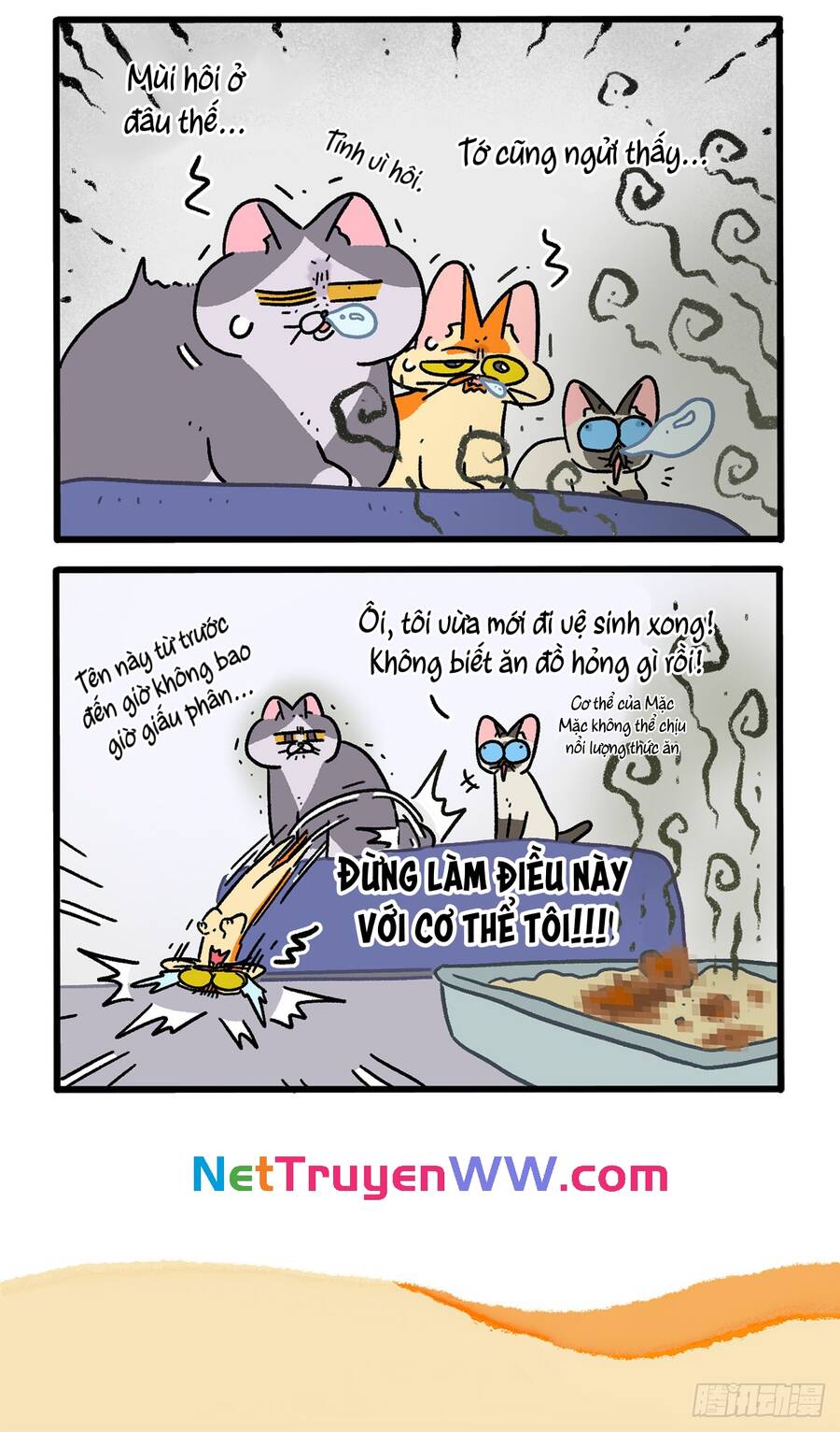 a mãn và mạch trà chapter 151 6