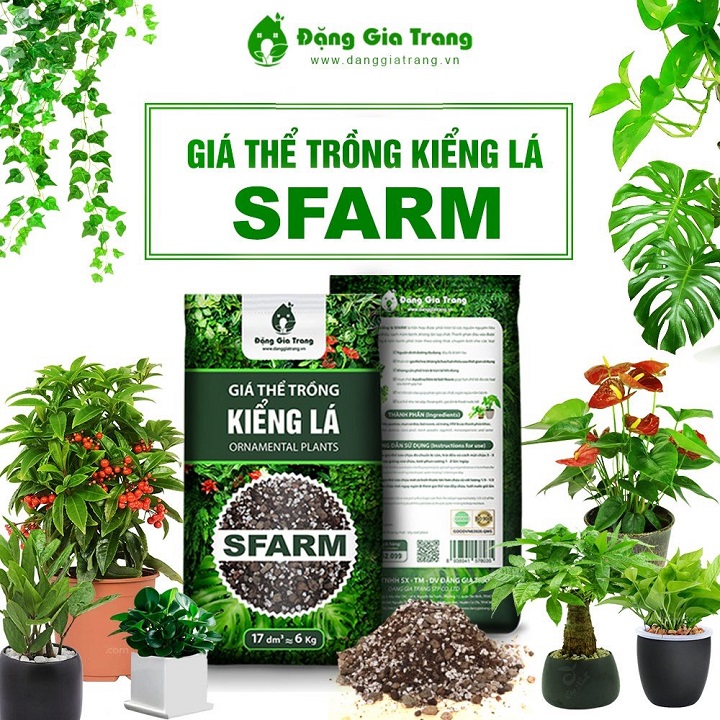 1Kg Giá Thể Trồng Cây Kiểng Lá Sfarm - Đất Hỗn Hợp Trồng Cây Cảnh