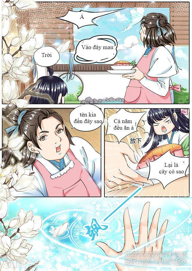 gia huynh ở lại tìm đường chết chapter 20 11